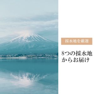 公式サイト